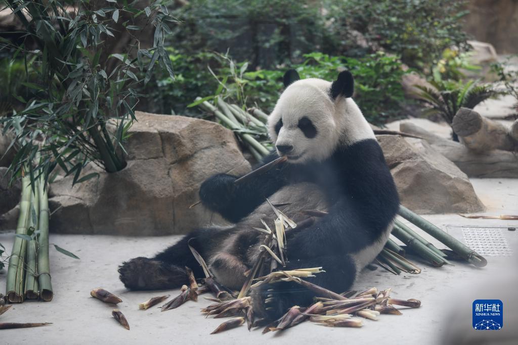 永圣鱼乐捕鱼下载